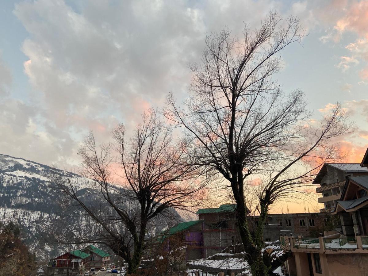 Solang Valley Resort Manāli Eksteriør billede