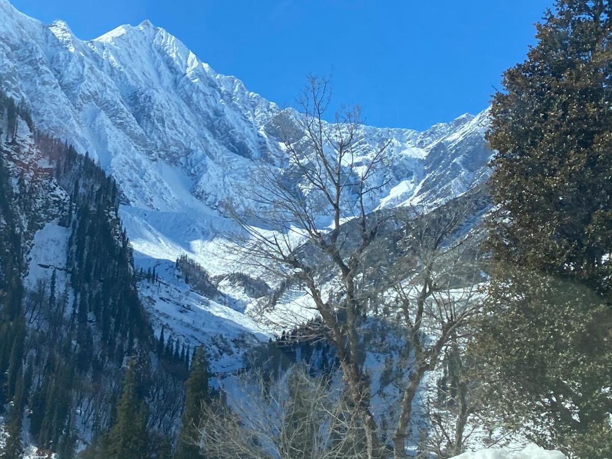 Solang Valley Resort Manāli Eksteriør billede