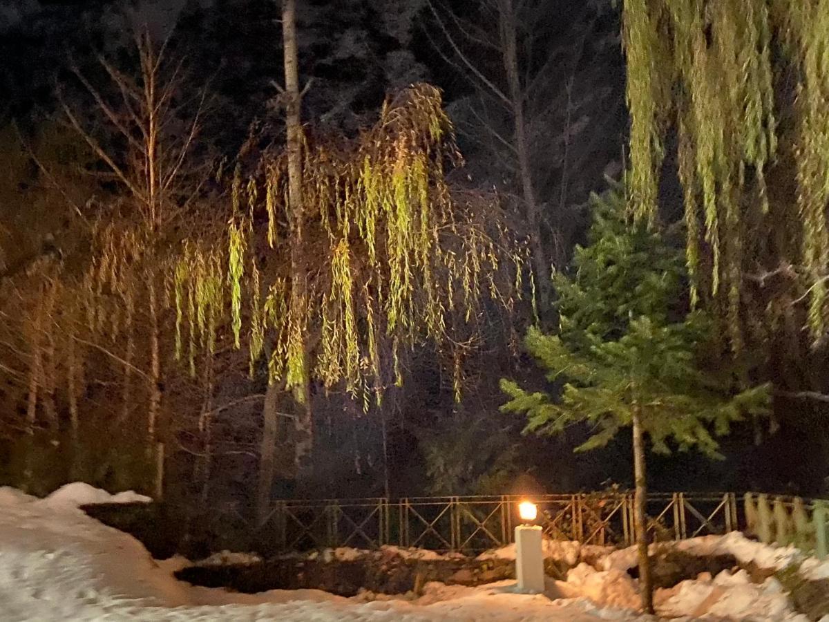 Solang Valley Resort Manāli Eksteriør billede