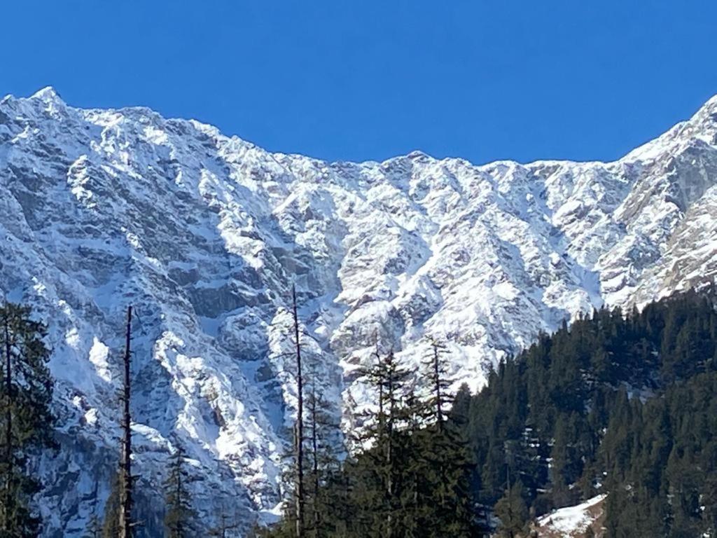 Solang Valley Resort Manāli Eksteriør billede