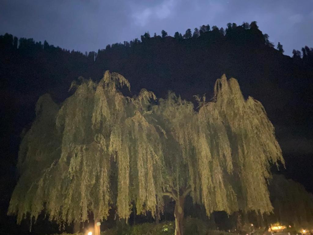 Solang Valley Resort Manāli Eksteriør billede